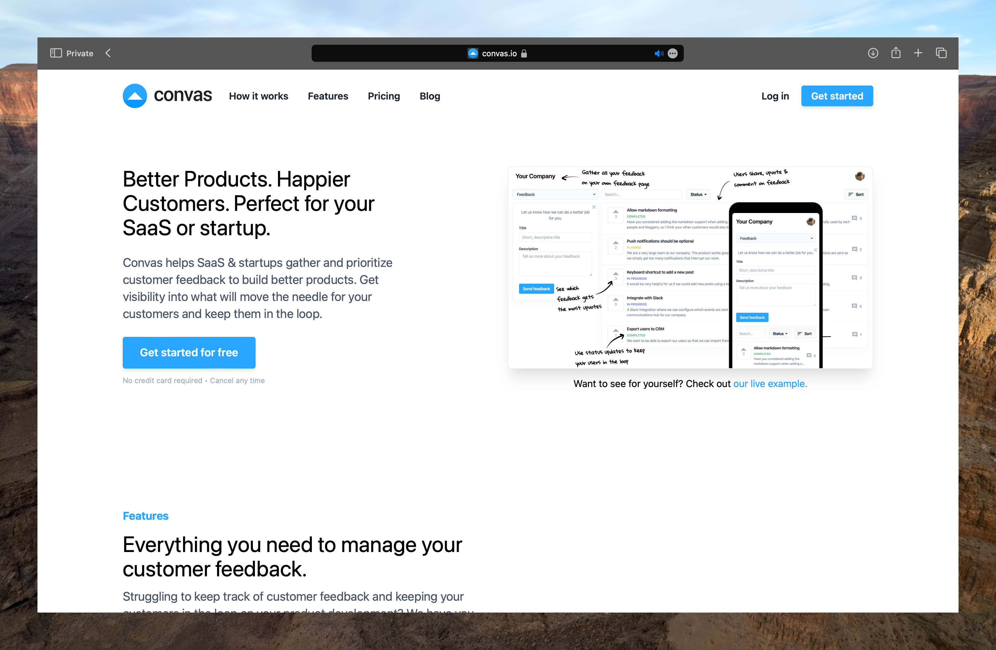 Convas feedback tool