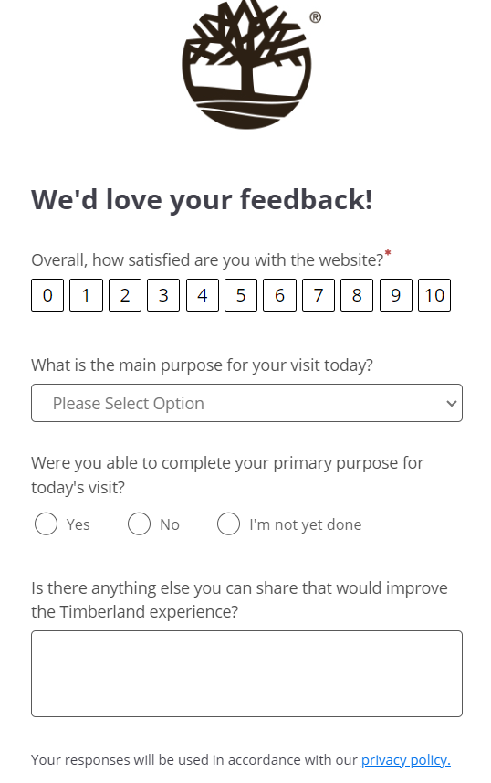 Examples of Customer Feedback