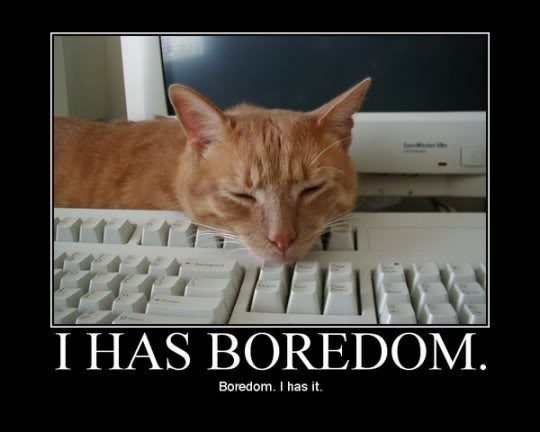 Bored Cat